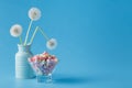 Light marshmallow sweets like dandelion Royalty Free Stock Photo