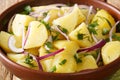 Light Mediterranean potato salad with onions, herbs and olive oil close-up in a bowl. horizontal