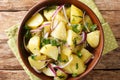 Light Mediterranean potato salad with onions, herbs and olive oil close-up in a bowl. horizontal top view