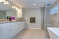 Light modern bathroom design with long white vanity cabinet Royalty Free Stock Photo