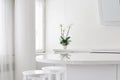 Interior modern office. Kitchen interior. White interior home in Finland. White orchid on the table.