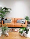 Light modern living room with brown leather couch, cowhide rug and numerous green houseplants creating an urban jungle