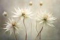 pastel background concept flower decoration floral minimal beige natural vintage nature. Generative AI. Royalty Free Stock Photo