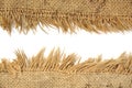 Light natural linen texture Royalty Free Stock Photo