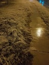 Light night snow grass blue white sidewalk