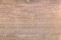 Light Oak wood brown grain texture background. Nature grunge pat