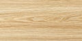 Light Oak Wood Texture Grain Surface Royalty Free Stock Photo