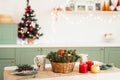 Light Olive Kitchen Decorated for the New Year. Table is festively set for Christmas Royalty Free Stock Photo