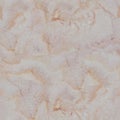 Light onyx texture with beige tracery. Seamless square backgroun