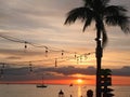 light orange sunset beautiful view panorama blue sea with palm tree cloud sky of tropical beach Royalty Free Stock Photo