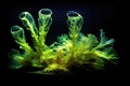 light painting with bioluminescent algae in water Royalty Free Stock Photo