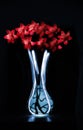 Vase Royalty Free Stock Photo