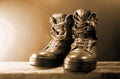 LIGHT ON A PAIR OF COMBAT BOOTS IN SEPIA