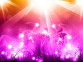 Light party glow background Royalty Free Stock Photo