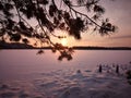 Light pillar behind spruce branch over a frozen lake