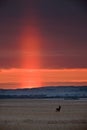 Light Pillar Saskatchewan Royalty Free Stock Photo