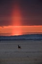 Light Pillar Saskatchewan Royalty Free Stock Photo