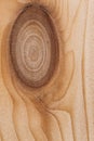 Light Pine Wood board with Knots Texture Surface