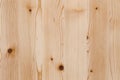 Light Pine Wood board with Knots Texture Surface