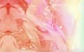 Light pink alcohol ink abstract background. Smudged soft flow liquid watercolor paint splash texture effect illustration for cards