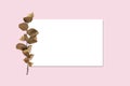 Light pink background, business card mockup is decorated with dry branch of wild rose. Top view, copy space