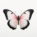 Pink And Black Ringlet Butterfly Illustration On White Background