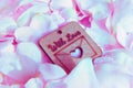 Light pink dog-rose petals backround with waterdrops. Wooden heart shape nameplate on soft petal backround. Saint Valentine design