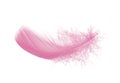 Light pink feather isolated on white background. Royalty Free Stock Photo