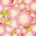 Light Pink Flower Blossoms Background