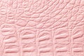 Light pink leather texture background, closeup. Reptile skin, macro Royalty Free Stock Photo