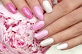 Light pink, pastel manicure on various shapes of nails