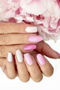 Light pink, pastel manicure on various shapes of nails