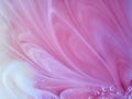 Light pink pattern and bubbles on liquid soap, abstract background Royalty Free Stock Photo