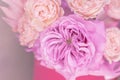 Light pink, purple, peach colour, white cute delicate small roses of different sizes, flowers in a lush bouquet Royalty Free Stock Photo