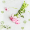 Light pink ranunkulus flowers on marble background Royalty Free Stock Photo