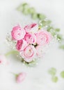 Light pink ranunkulus flowers on marble background, top view Royalty Free Stock Photo