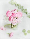 Light pink ranunkulus flowers in vase on white background Royalty Free Stock Photo