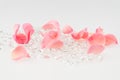 Light pink rose petal with crystal on white background Royalty Free Stock Photo