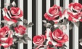 Light Pink Roses on a black and white stripes background. Generative AI Royalty Free Stock Photo