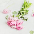Light pink spring ranunkulus flowers bouquet on white marble background Royalty Free Stock Photo