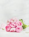 Light pink spring ranunkulus flowers on marble background Royalty Free Stock Photo