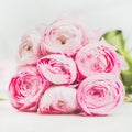 Light pink spring ranunkulus flowers on marble background, square crop Royalty Free Stock Photo