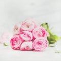 Light pink spring ranunkulus flowers on marble background, square crop Royalty Free Stock Photo