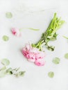 Light pink spring ranunkulus flowers on marble background, top view Royalty Free Stock Photo