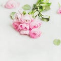 Light pink spring ranunkulus flowers on white marble background Royalty Free Stock Photo