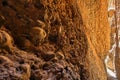 Light playing in Echidna Chasm, Australia