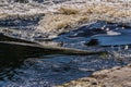 Color waves and whirlpools of the river