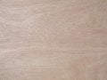 Light plywood texture background