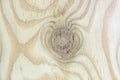 Light plywood texture lumber material, natural pattern textured background