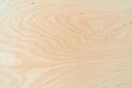 Light plywood texture. Patterned wooden background. Royalty Free Stock Photo